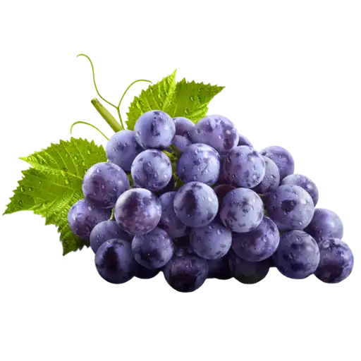 grape